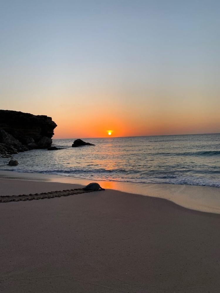 Ras Al Jinz Turtle Reserve Al Hadd Екстер'єр фото