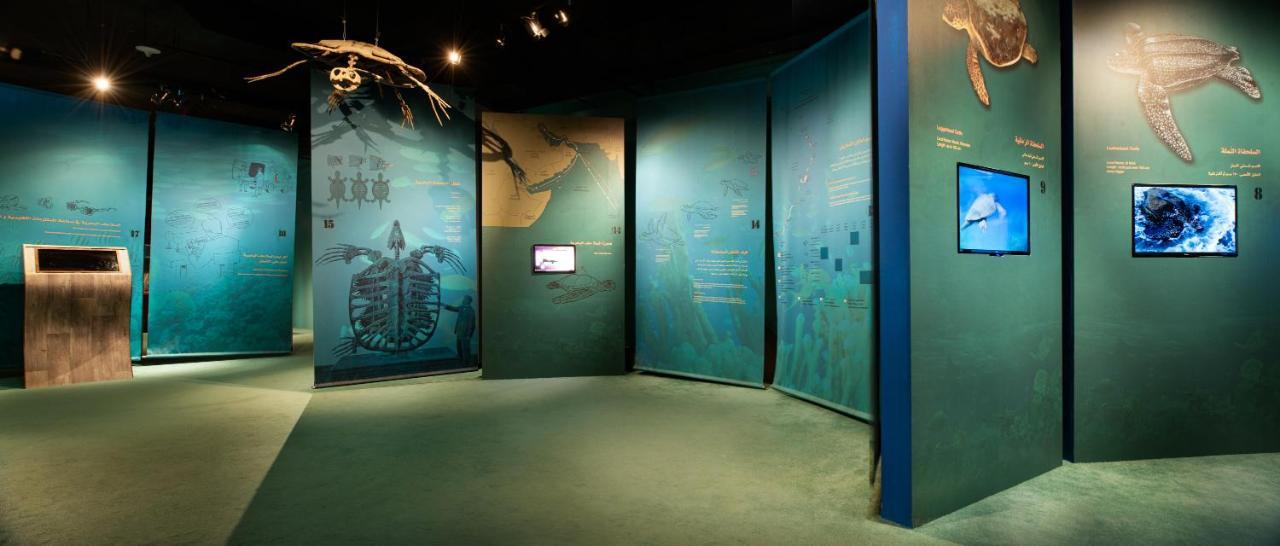 Ras Al Jinz Turtle Reserve Al Hadd Екстер'єр фото