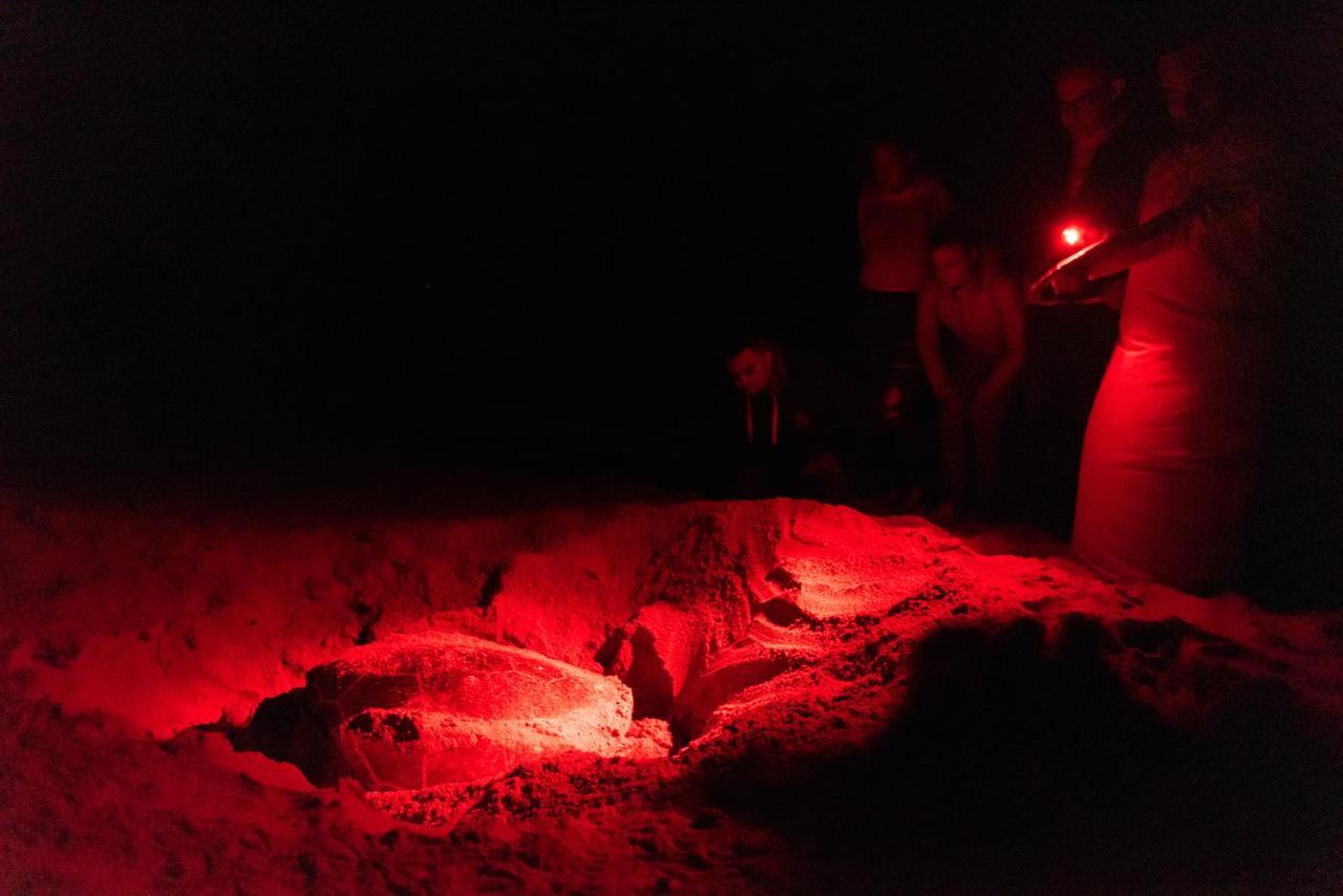 Ras Al Jinz Turtle Reserve Al Hadd Екстер'єр фото