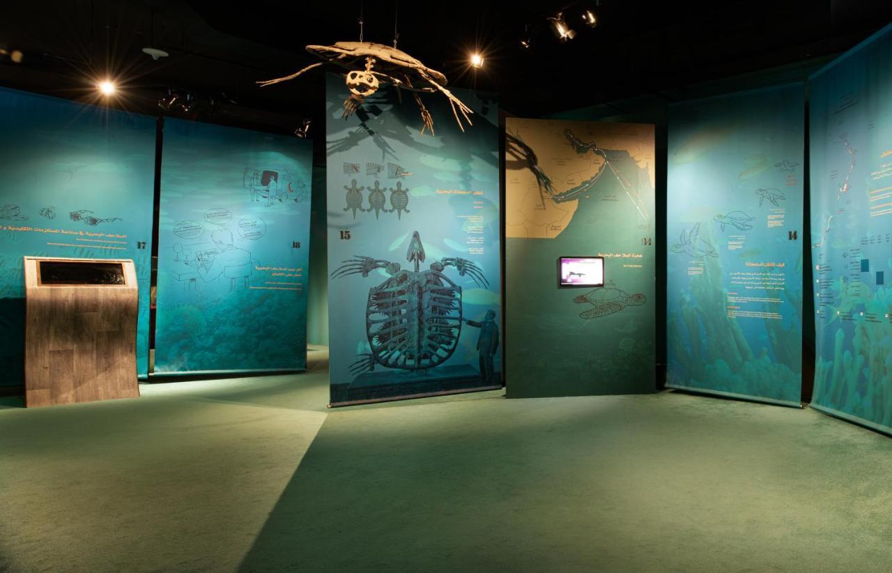 Ras Al Jinz Turtle Reserve Al Hadd Екстер'єр фото